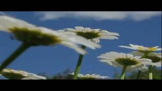 ME + YOU + FAITH (ada - Mellow Version)