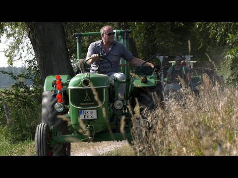 Oldtimer-Traktoren zum Ausleihen
