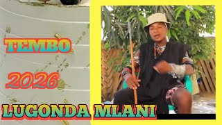 Download lagu LUGONDA MLANI TEMBO PRD MNYAMA STUDIO 2026 mp3