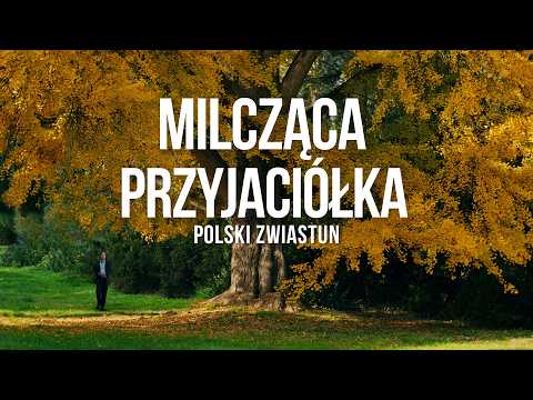 Milcząca przyjaciółka – zwiastun