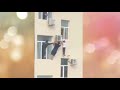 Humanity Whatsapp Status Humanity World