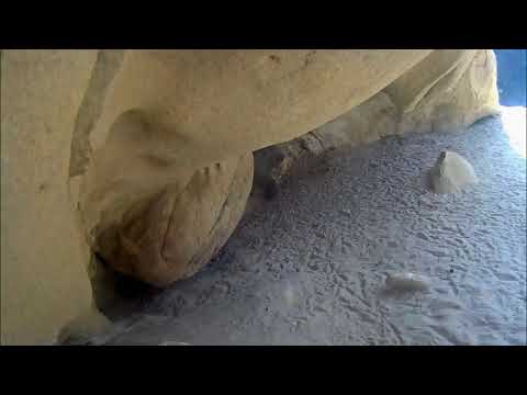 Condor Chick Defends Nest From Encroaching Raven – June 14, 2019