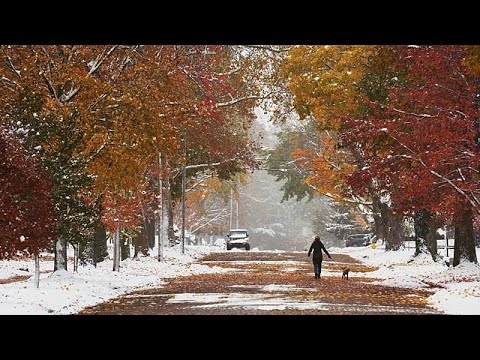 Erster Schnee der Saison: Rekordkälte trifft den Südosten der USA, 18 Millionen unter Frostwarnung