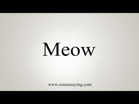 How To Say Meow - YouTube