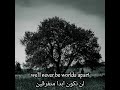 Umbrella Whats App Status تصميم اغنيه Umbrella واتس اب
