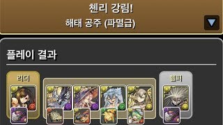 [첸리 강림/파멸급] 티파×진진 pt.