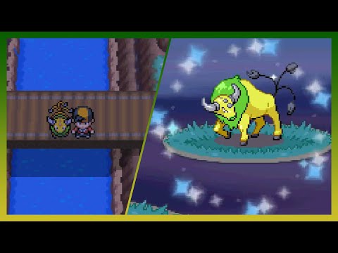 LIVE! Shiny Tauros after 4,850 REs in Soul Silver (SSBQ #5)