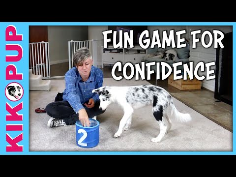 STOP UNWANTED behaviors with BACK UP