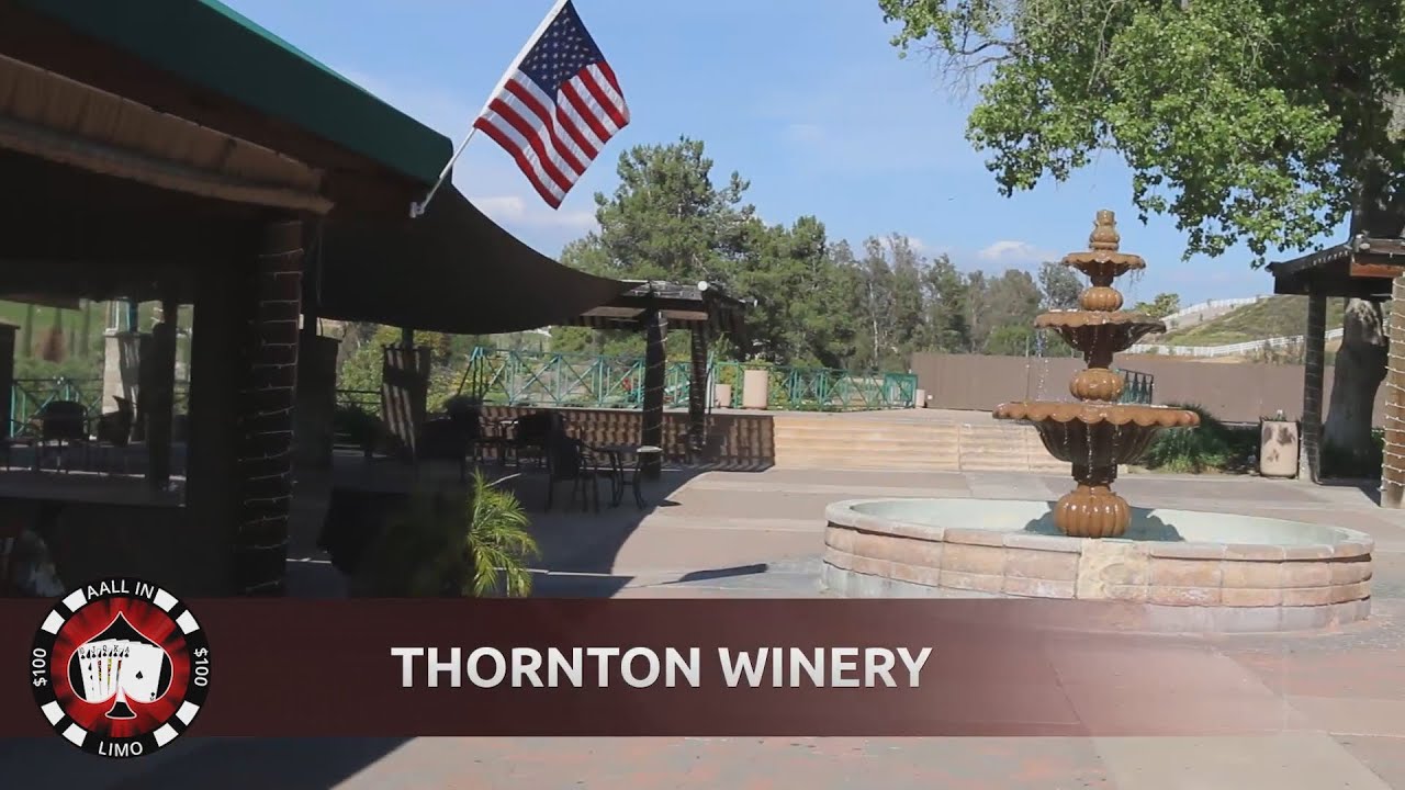 Best 5 Wineries in Temecula To Grab Dinner At Aall In Limo