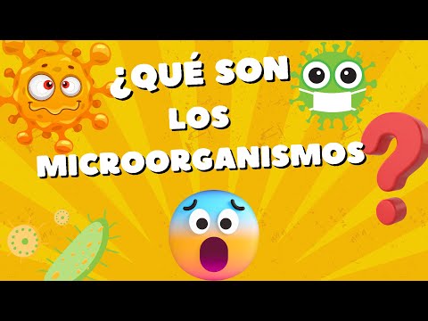 QUE SON LOS MICROORGANISMOS / VIDEOS EDUCATIVOS