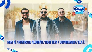 Pagode do Adame - Nem Aí/Nuvens de Algodão/Hoje Tem/Domingando/Ela É  (Entre Amigos Na Sua Casa)