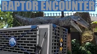 Raptor Encounter with Blue at Universal Studios Singapore