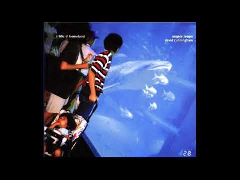 Angela Jaeger And David Cunningham – Artificial Homeland