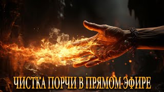 ЧИСТКА ПОРЧИ В ПРЯМОМ ЭФИРЕ. КАРИНА ТАРО