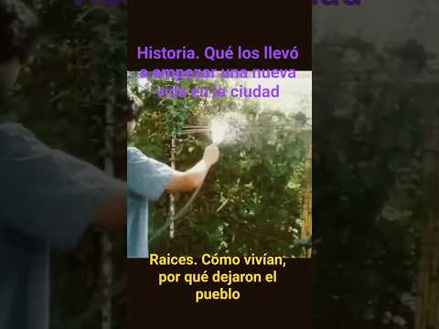 Historia. Dejaron el pueblo para empezar una nueva vida en la ciudad.