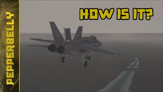 Flight Simulator X: Steam Edition - How Is It?