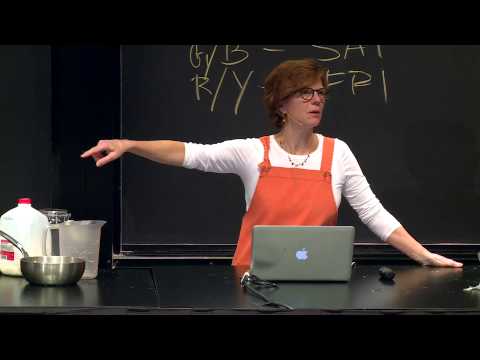 Jody Adams: Fermentation, an Ancient Trend, Science and Cooking Public Lecture Series 2014