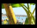 Sigla nuova Summer day.wmv 