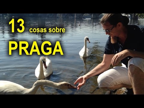 BITTEN BY A SWAN. 13 THINGS ABOUT PRAGUE