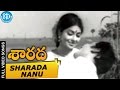 Sarada Movie Sharada Nanu Cheraga Video Song Sharada Shobhan Babu Jayanthi