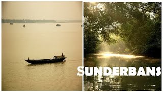 Life in Sundarbans