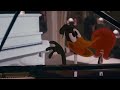 Daffy Duck And Donald Duck Playing Together