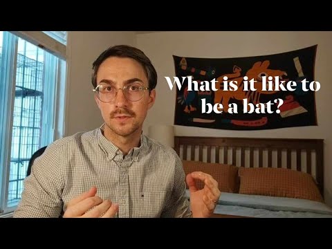 Thomas Nagel's "What Is It Like To Be a Bat?"