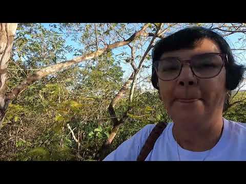 Cristo Redentor do Pantanal Coxim(MS) ep 01