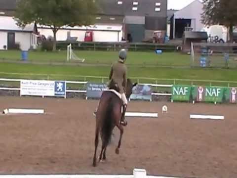 Get Set Autumn Star Dressage