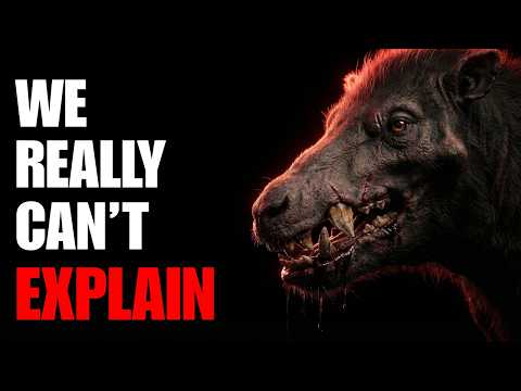 Nothing About The Hell Pig Was Normal... Here's Why