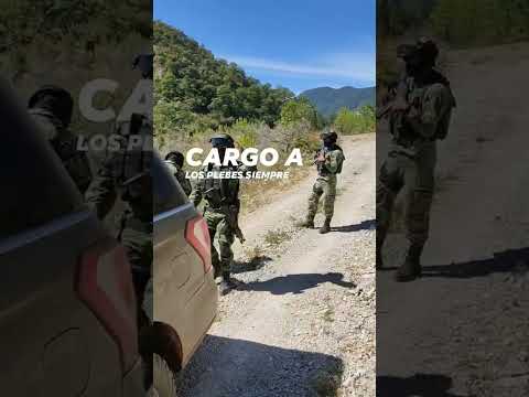 la chapiza 🔥🐰🇲🇽