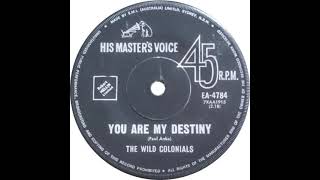 THE WILD COLONIALS YOU ARE MY DESTINY