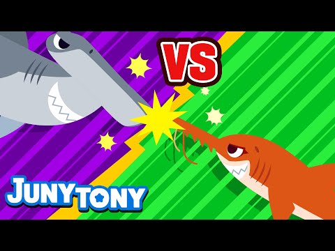 Tubarão Serra vs Tubarão Martelo | Predadores do Mar | Que Ganhe O Melhor! | JunyTony em Português