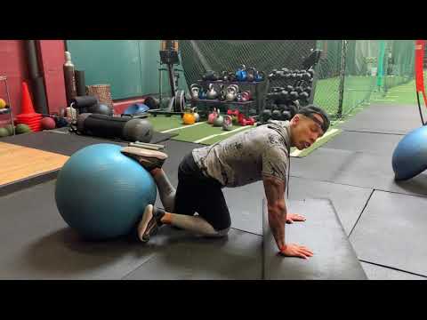Stability Ball Decline Push Up (Offical Video)