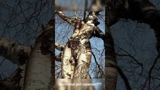 Download lagu Raksasa Sudah Punah? Bagaimana Mereka Hanya Tertidur dan bangun suatu saat ??? #darkwebhorrorstories mp3