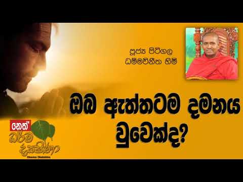 Darma Dakshina 2019.02.13 - Pitigala Dammawinitha Himi