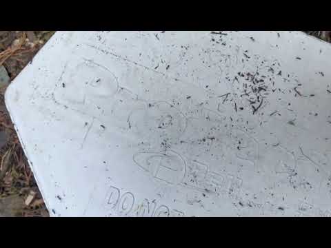 Ants Infiltrated Our Rodent Bait Station in Rumson, NJ