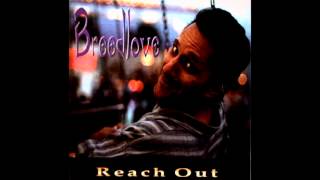 Breedlove Reach Out 3 AM Drag