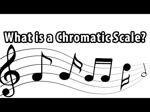 What is a Chromatic Scale? Music Theory Lessons - Robert Estrin