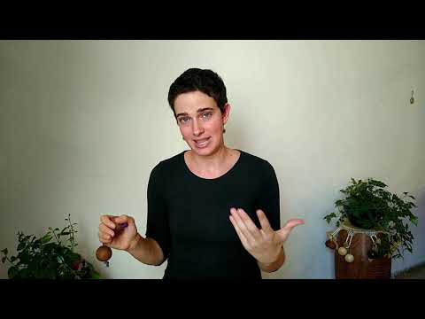 Asalato Lesson with Inbar Heyman: Basic hit and shake