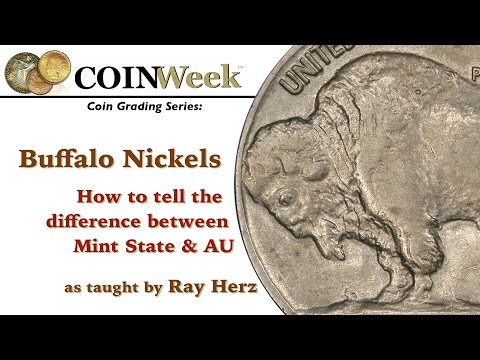 CoinWeek Grading Series: BUFFALO NICKELS: How to Tell the Difference Between Mint State and AU