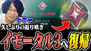 久しぶりにイモータル3へ復帰する善悪菌【ヴァロラント/VALORANT】