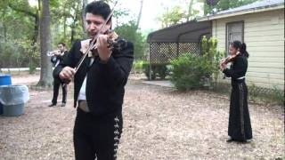 Mariachi Palmeros - Malaguena Salerosa