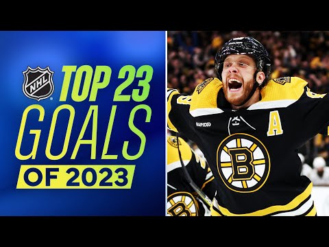 Top 23 Goals from Calendar Year 2023 🗓️