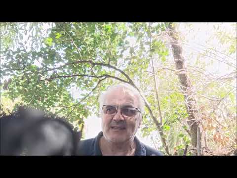 Vida y Obra de Agustín Barrios