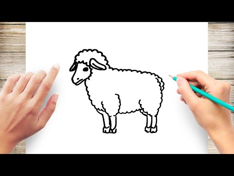 How to Draw a Sheep Step by Step - YouTube
