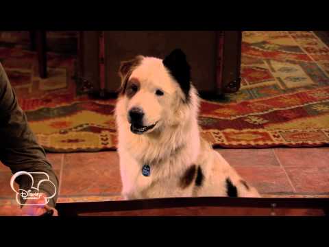 Dog With A Blog - Stan Talks To Gran