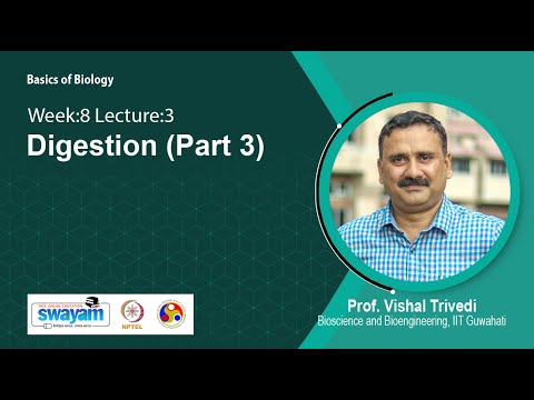 Basics of Biology Intro Video