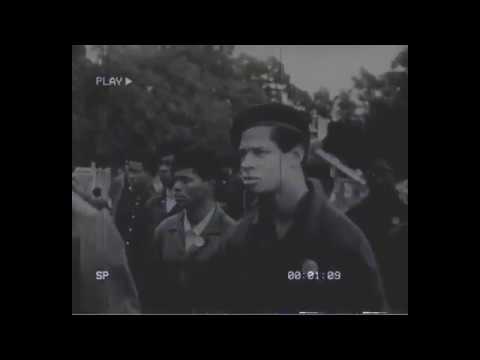 YOUNG GENOCIDE - MUSA PROD BY ANTLIVE