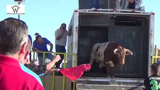ENCIERRO DE EL VISO DE SAN JUAN 2014
